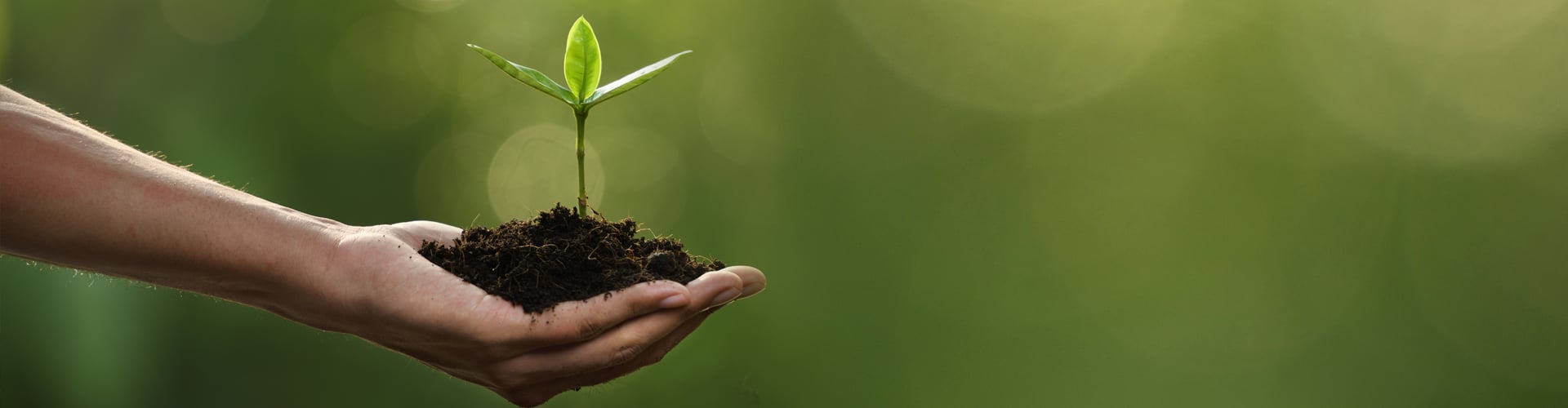 consiste el desarrollo sustentable