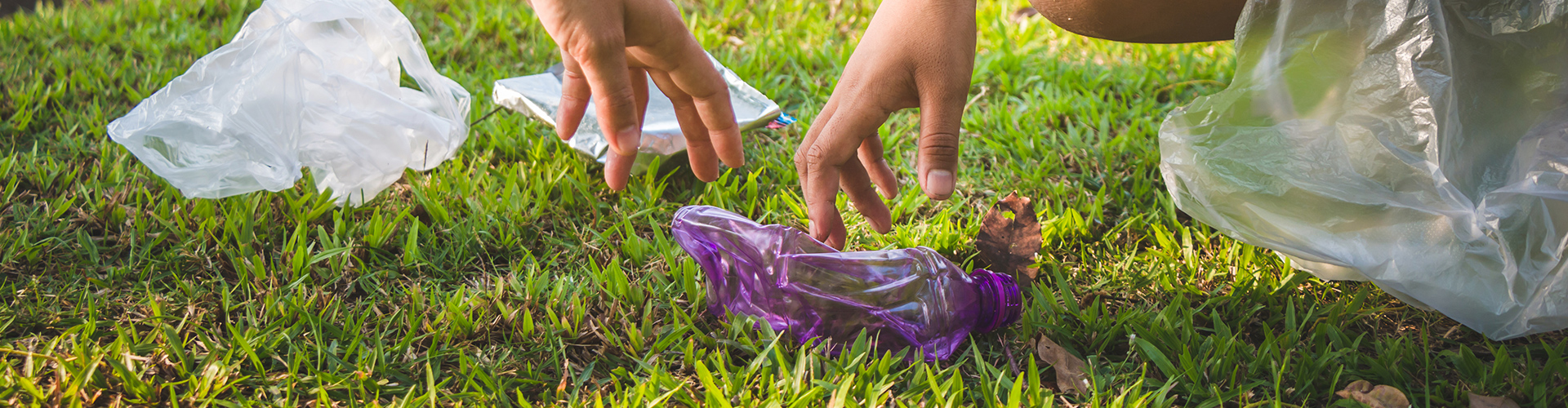 Qué beneficios tiene reciclar